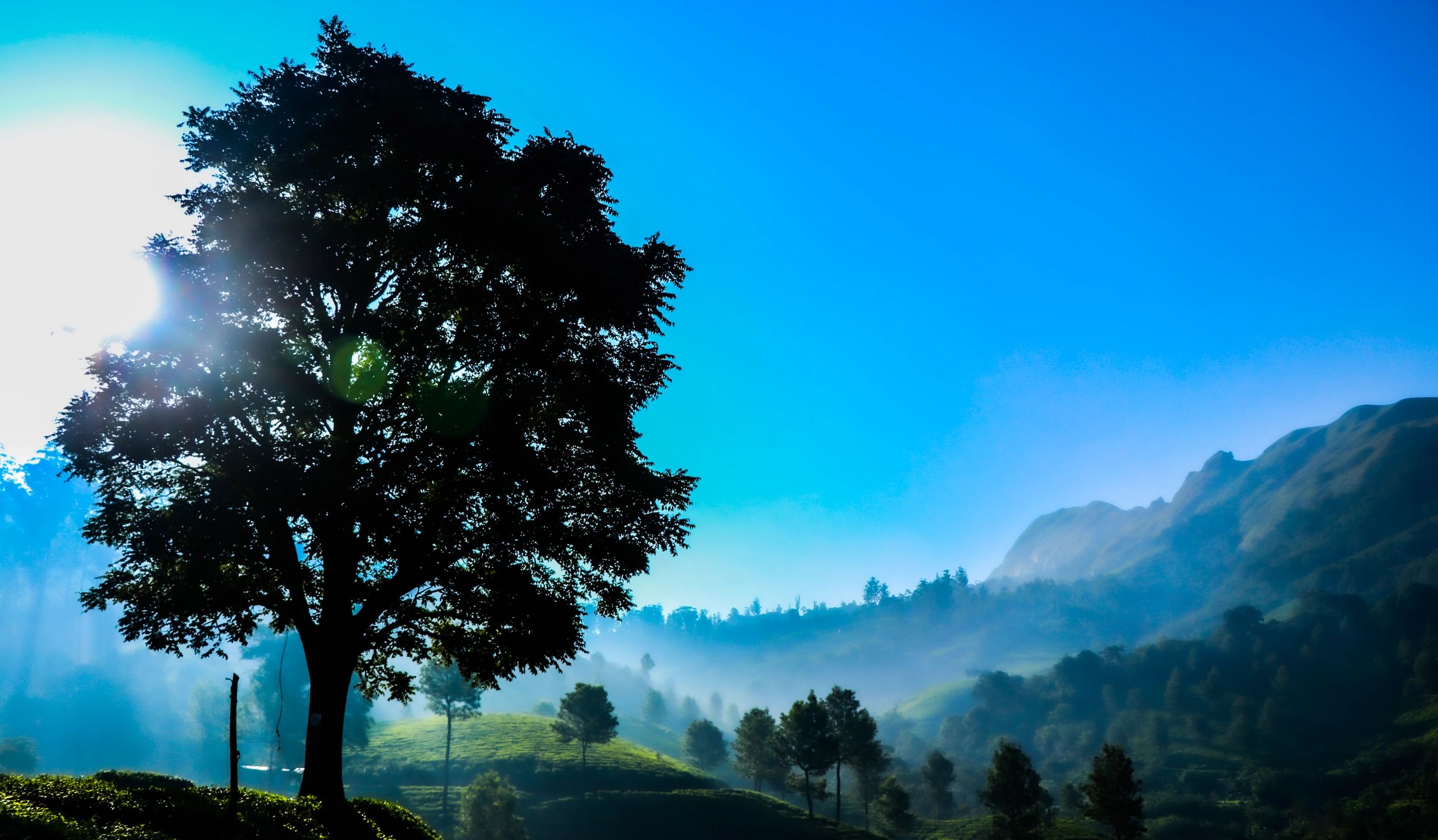 Valley view in Munnar, Kerala